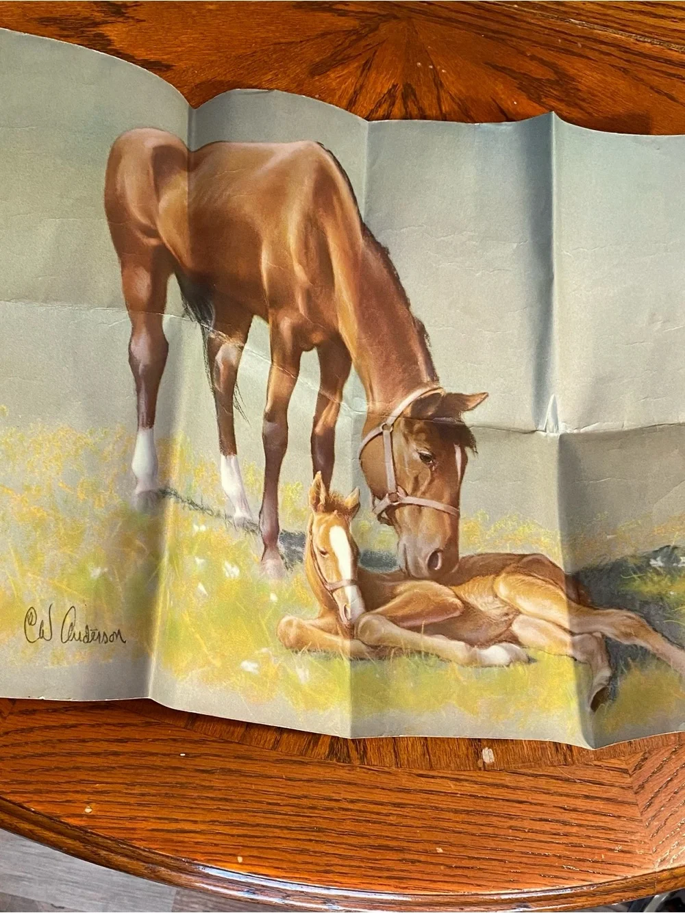 Old Book- Lone Cowboy by Will James also includes a lithograph by CW Anderson